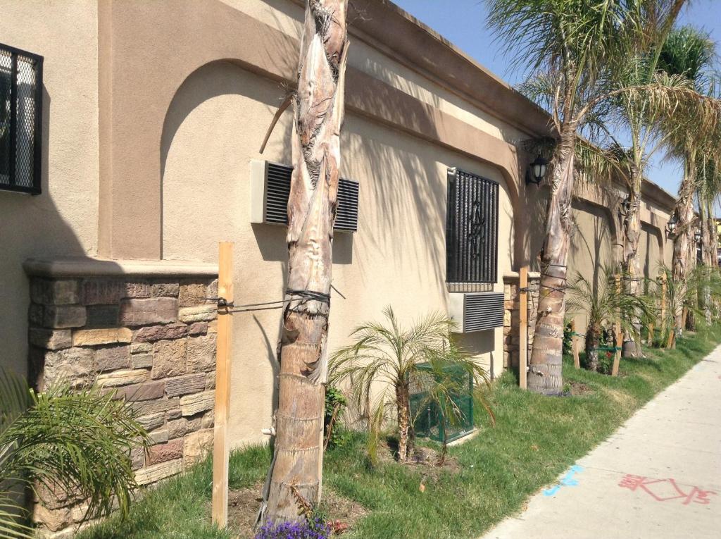 Palms Motel بيكو ريفيرا المظهر الخارجي الصورة